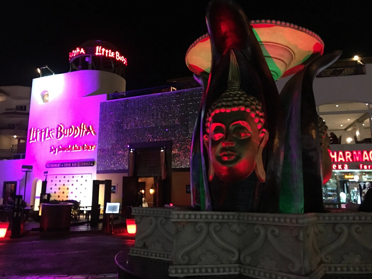 The vibrant nightlife of Naama Bay with Taxi Gad Sharm